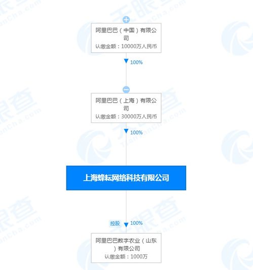 阿里旗下上海蜂耘公司注册资本增至3亿,增幅5900